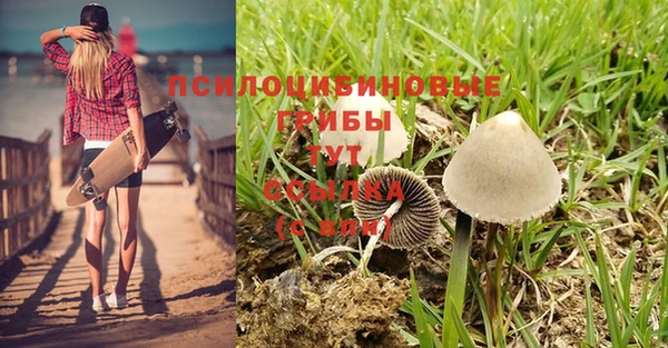 каннабис Покачи