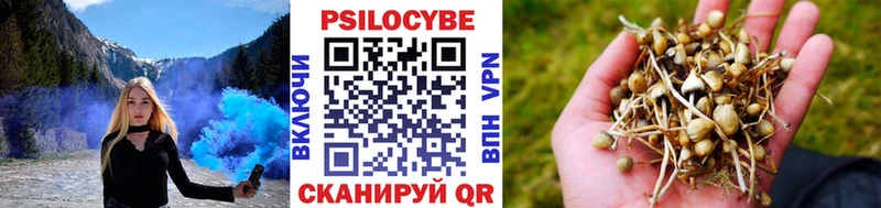 Галлюциногенные грибы Psilocybine cubensis  Серов 